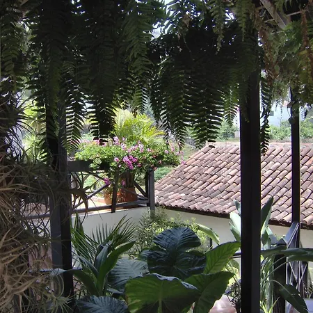 Mit Meerblick Apartment Icod De Los Vinos