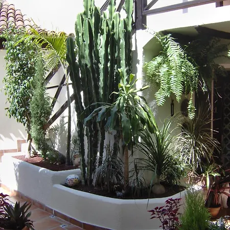 Mit Meerblick * Икод-де-лос-Винос