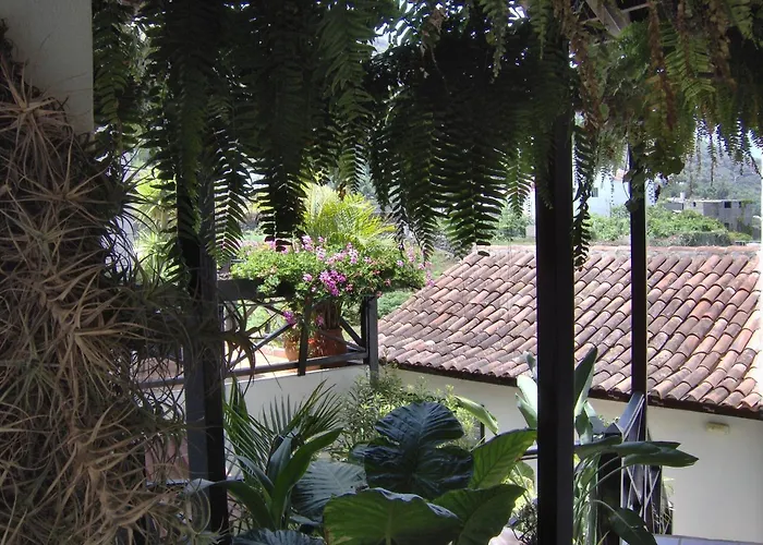 Mit Meerblick Apartament Icod De Los Vinos